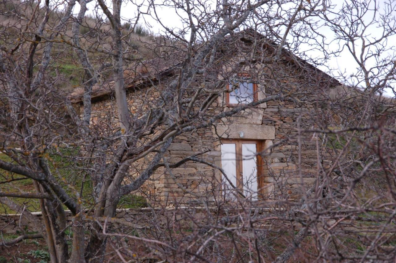 Quinta Da Alagoa Alojamento de Turismo Rural