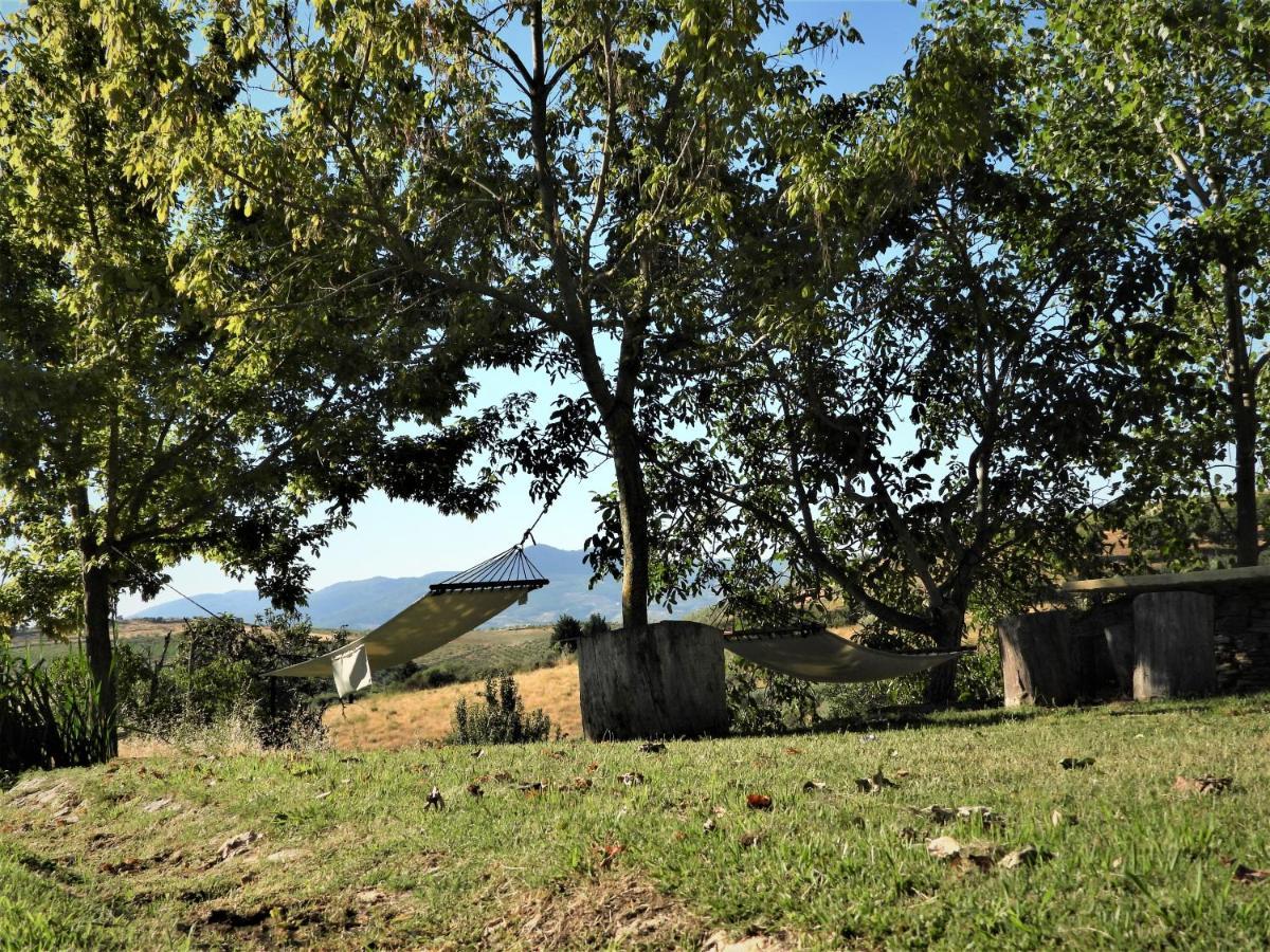 Alojamento de Turismo Rural Quinta Da Alagoa Santa Maria de Émeres