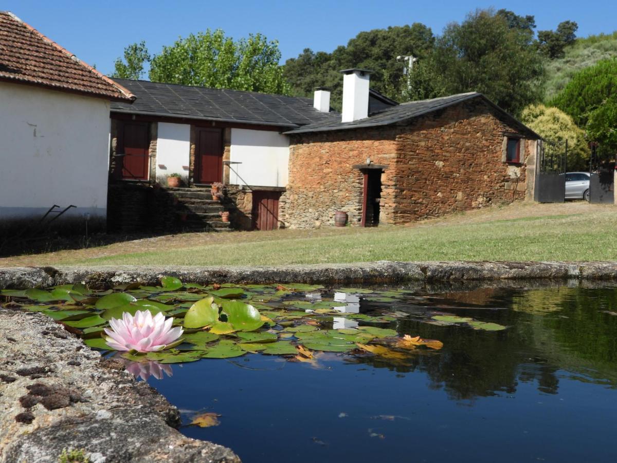 Quinta Da Alagoa Santa Maria de Émeres