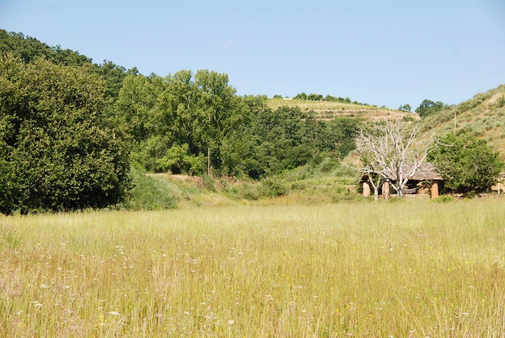 Quinta Da Alagoa Santa Maria de Émeres