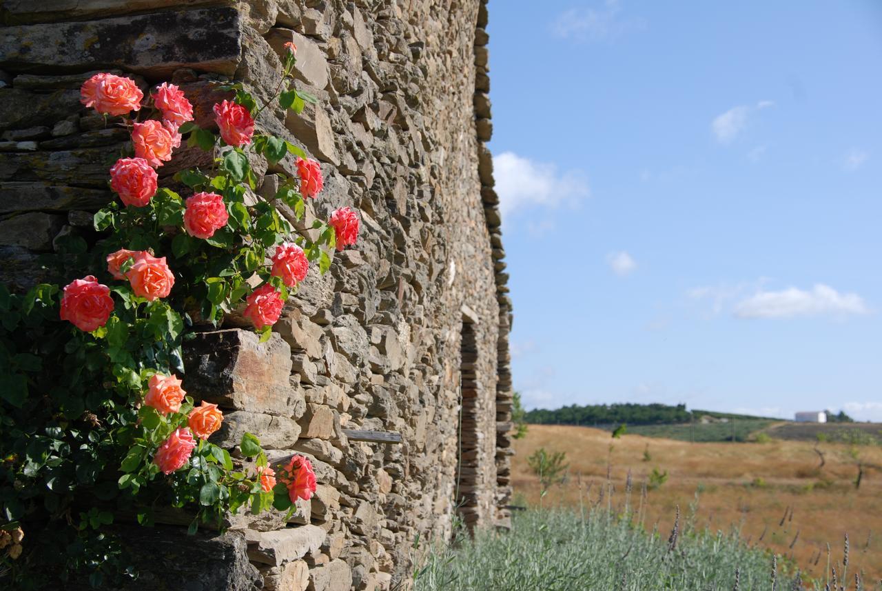 Quinta Da Alagoa Santa Maria de Émeres